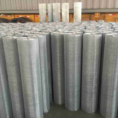 Welded Wire Mesh