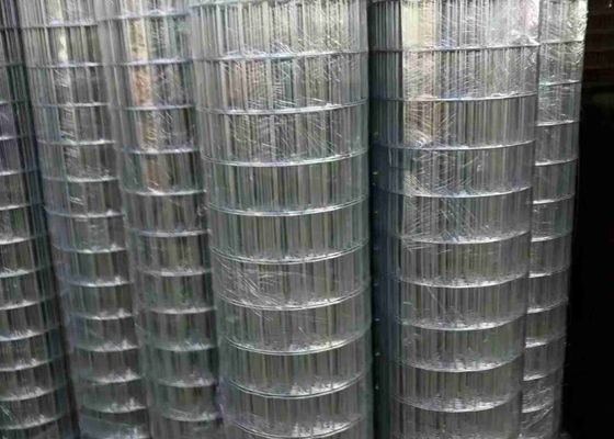 สังกะสีด้วยไฟฟ้า 100 X 50 รอยตาข่ายสีสดใสและพื้นผิวเรียบ